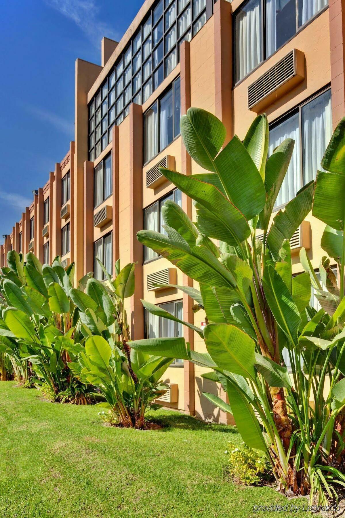 Holiday Inn Hotel & Suites Anaheim By Ihg Eksteriør billede